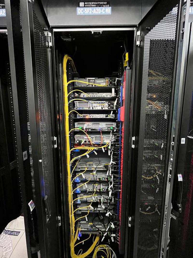 金华网站建设行业新趋势：数字化转型风向标